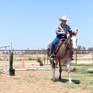 Meet your Posher, Anna